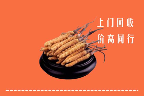 高价求购：什邡市回收散虫草