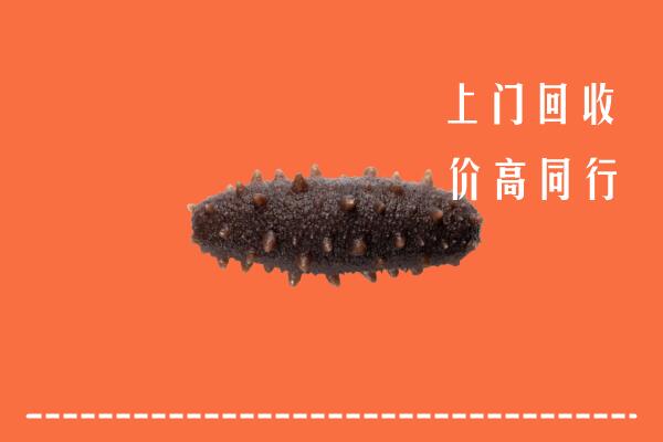 高价求购：什邡市回收海参