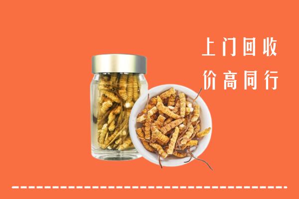 什邡市回收冬虫夏草