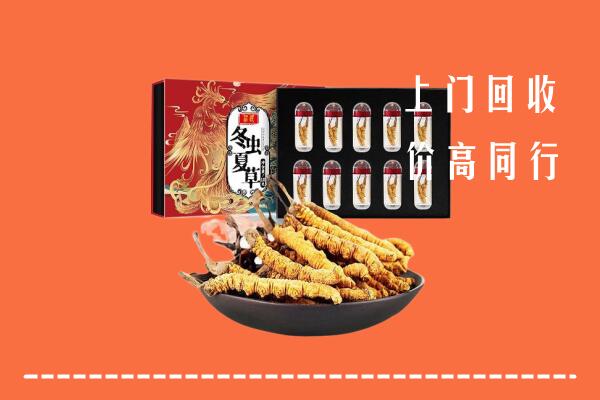 什邡市回收虫草